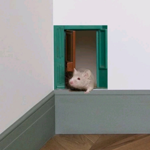 Sticker - Picture 2 of 4